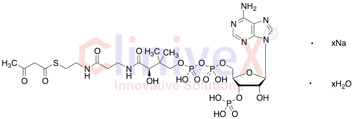 Acetoacetyl Coenzyme A Sodium Hydrate (>90%)