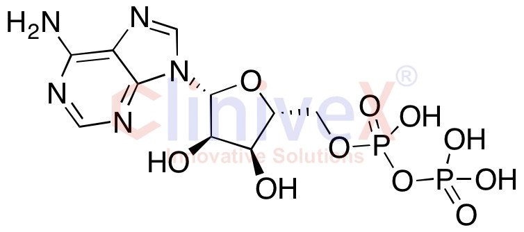 Adenosine 5'-Diphosphate
