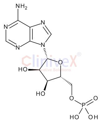 Adenosine 5'-Monophosphate