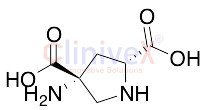 (2R,4R)-APDC