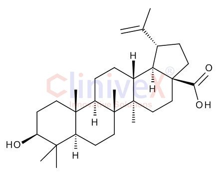 Betulinic Acid