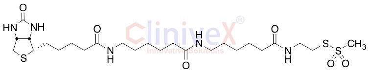 N-Biotinylcaproylaminocaproylaminoethyl Methanethiosulfonate