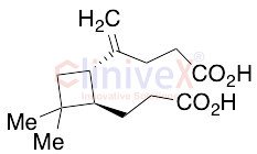 Beta-Caryophyllinic Acid
