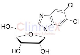5,6-Dichloropurine-1-Beta-D-ribofuanosyl-H-benzimidazole