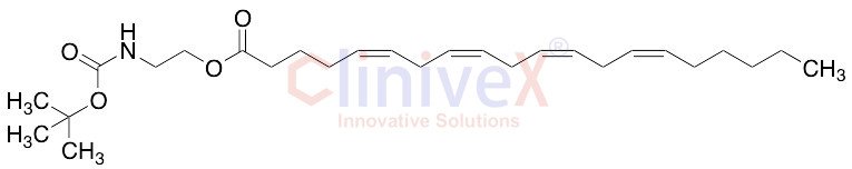 (5Z,8Z,11Z,14Z)-5,8,11,14-Eicosatetraenoic Acid 2-[[(1,1-Dimethylethoxy)carbonyl]amino]ethyl Ester