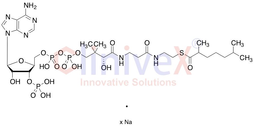 2,6-Dimethylheptanoyl-CoA Sodium Salt