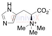 L-Hercynine