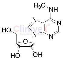N6-Methyladenosine