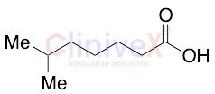 6-Methylheptanoic Acid (>90%)