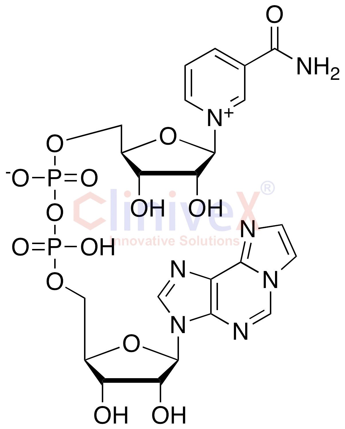Nicotinamide 1,N6-Ethenoadenine Dinucleotide