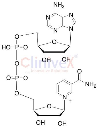 beta-Nicotinamide Adenine Dinucleotide