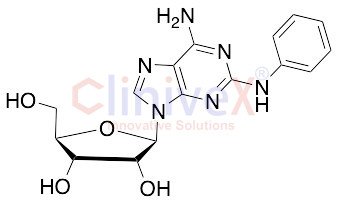 2-Phenylamino Adenosine