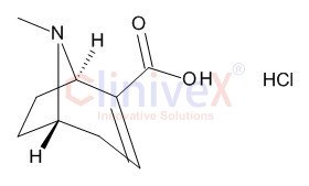 Anhydroecgonine Hydrochloride 1.0 mg/ml in Water (as free base)