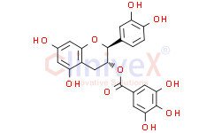 (-)-Catechin gallate
