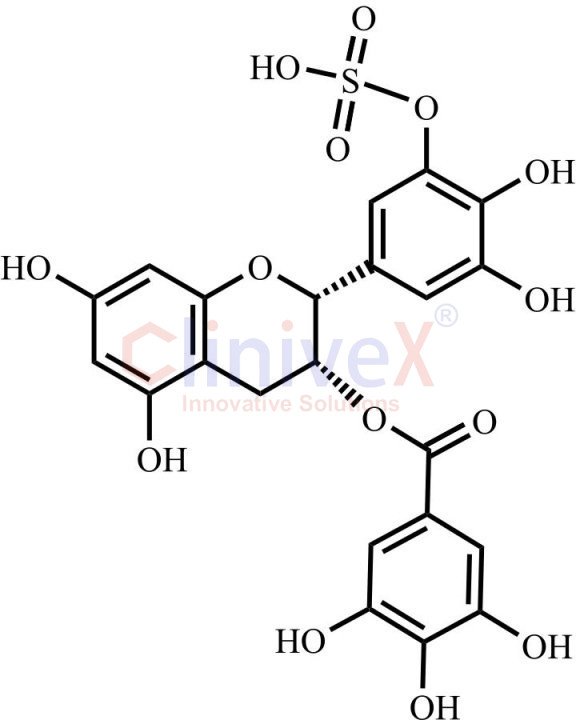 (-)-Epigallocatechin Gallate Sulfate C