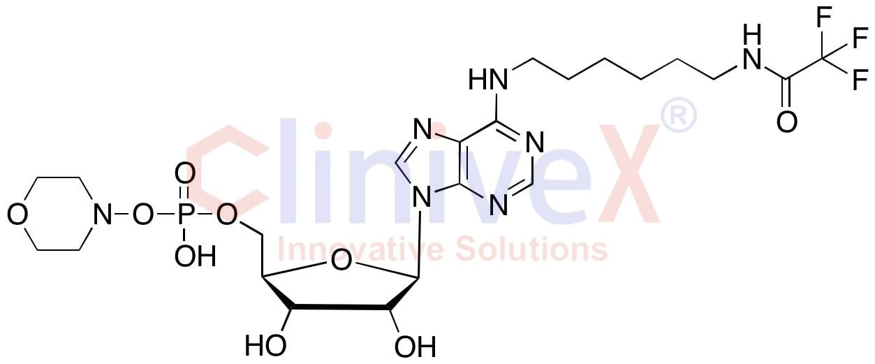 (-)-Inosine Dehydroxy-N-(6-iminohexyl)-2,2,2-trifluoroacetamide Phospho-morpholine